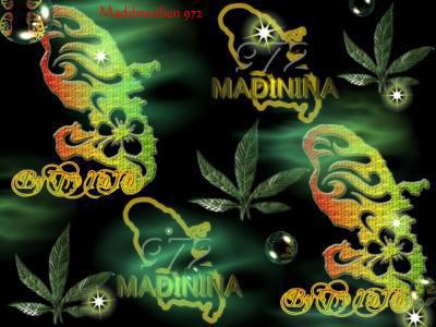 M@dinin@